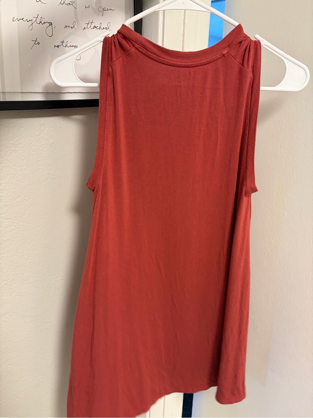 Daily Ritual Rust Red Crewneck Tank Dress - Picture 7 of 8
